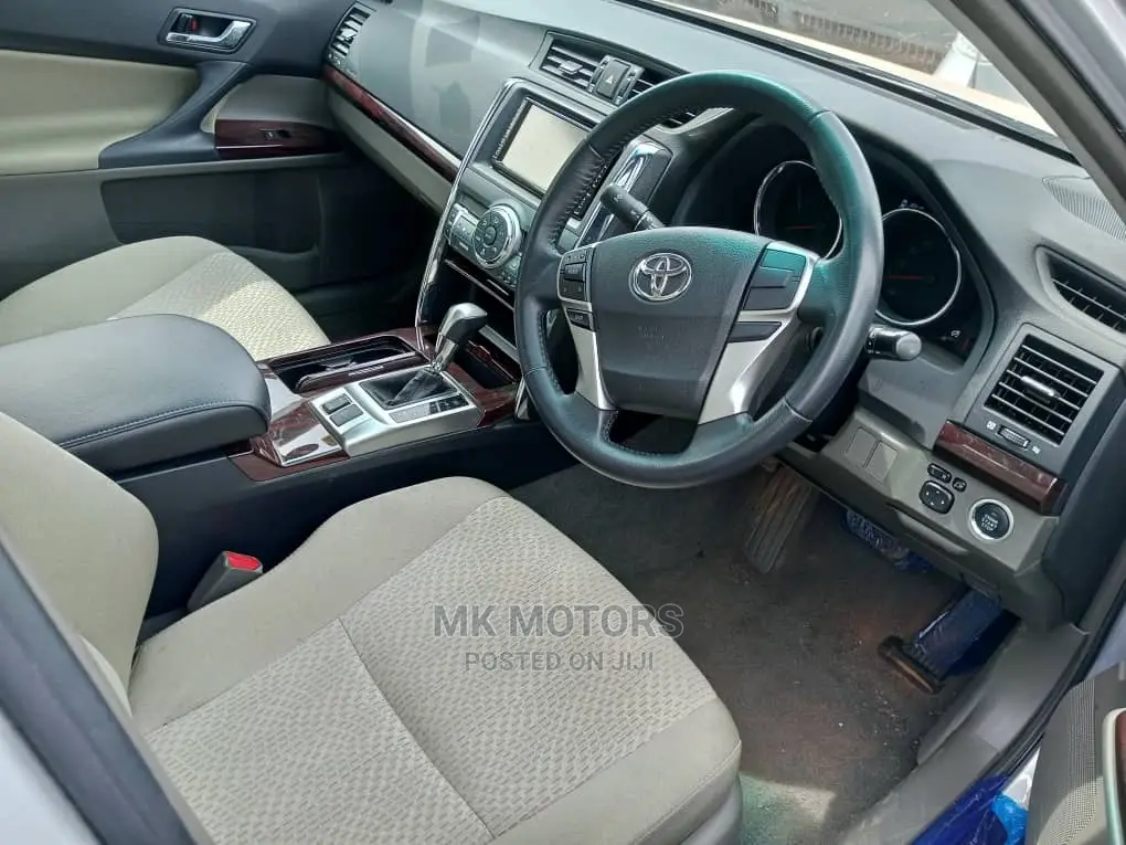 Toyota Mark X 2009 Silver