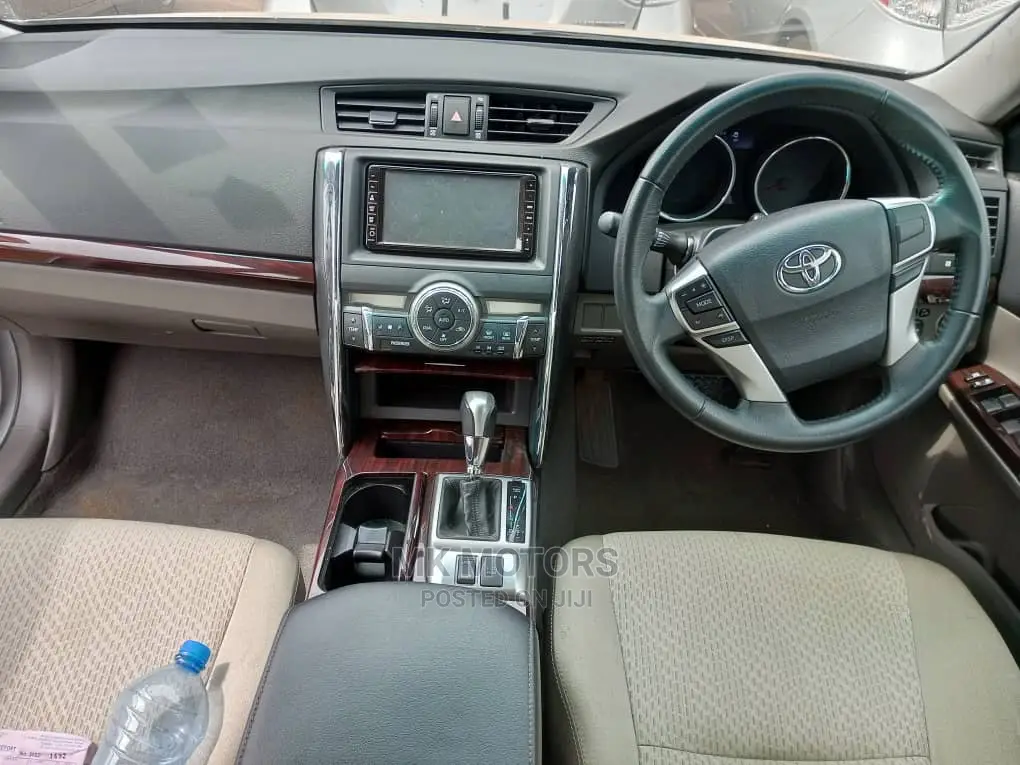 Toyota Mark X 2009 Silver