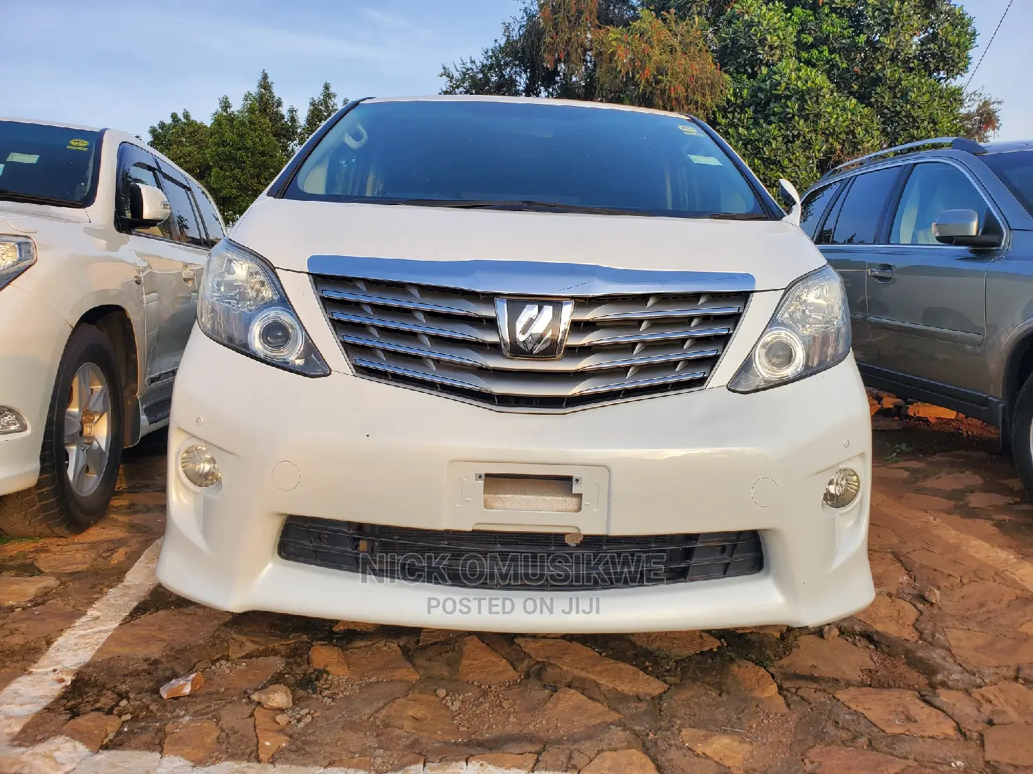 Toyota Alphard 2010 Off White