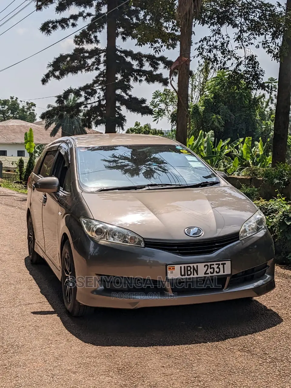 Toyota Wish 2009 Gray