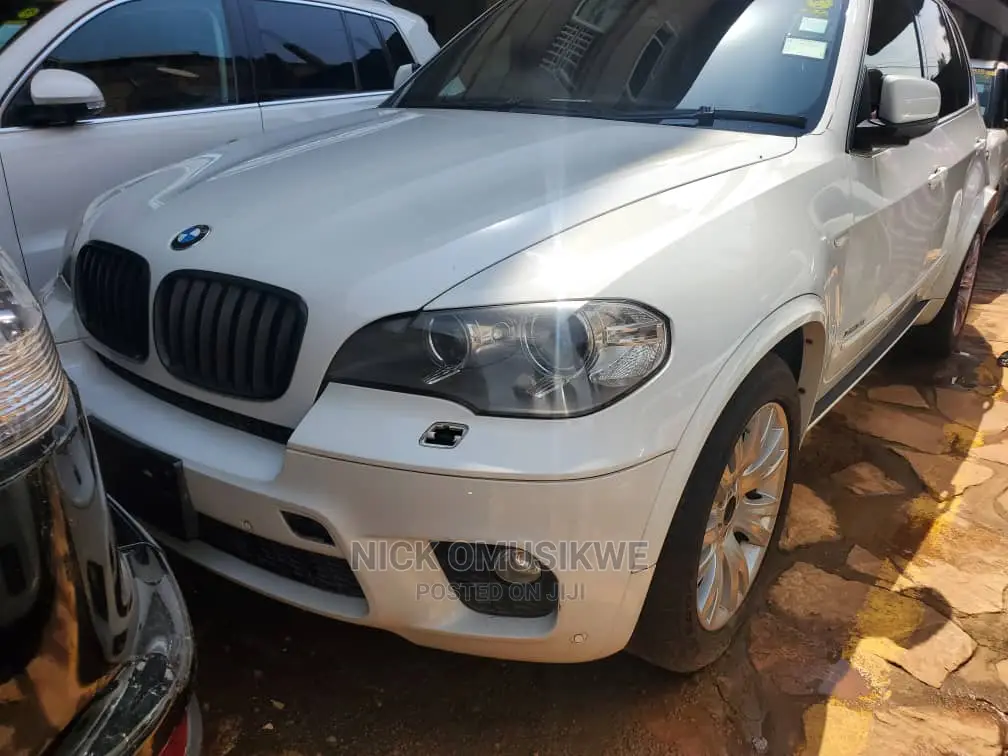 BMW X5 2010