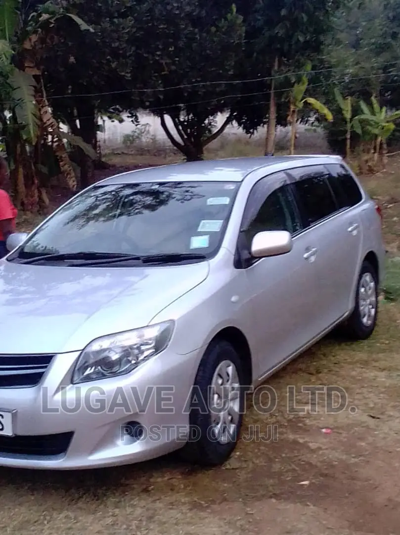 Toyota Corolla Fielder 2010 Silver